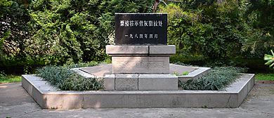 临沂市-兰山区-华东烈士陵园