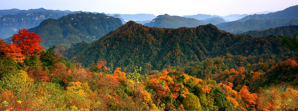巴中市-南江县-光雾山国家级风景名胜区