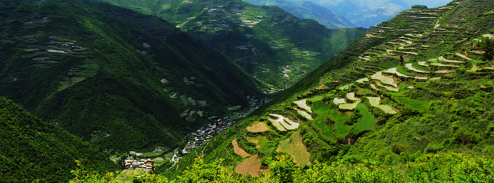 甘南州-舟曲县-拉尕山风景区