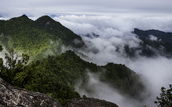 南平市-松溪县-白马山风景区