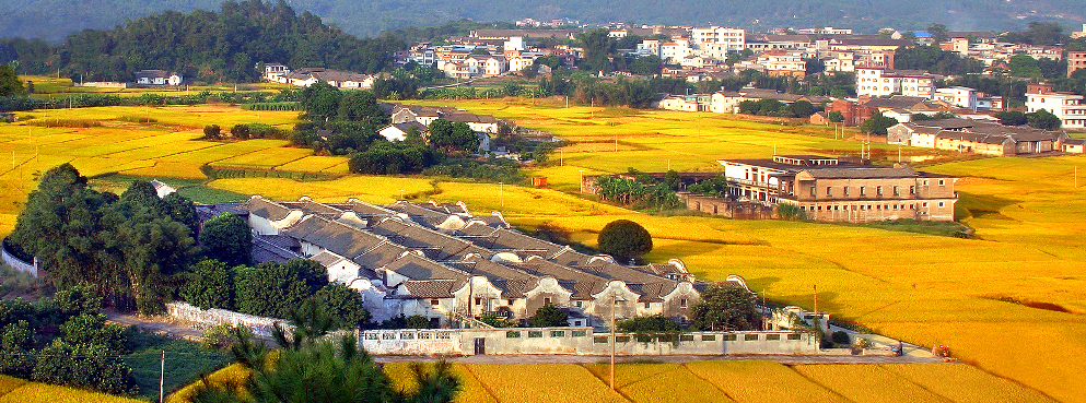 梅州市-梅县区-南华又庐(客家围龙屋)