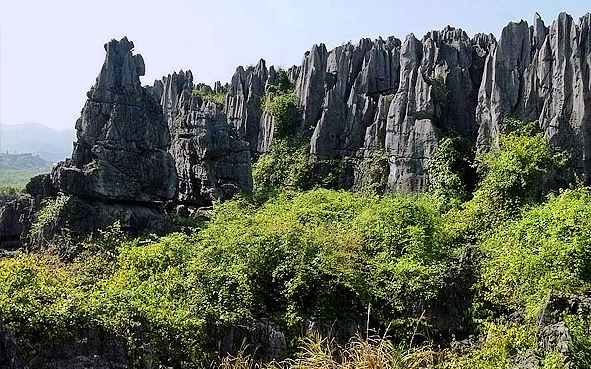 桂林市-灌阳县-文市石林风景区