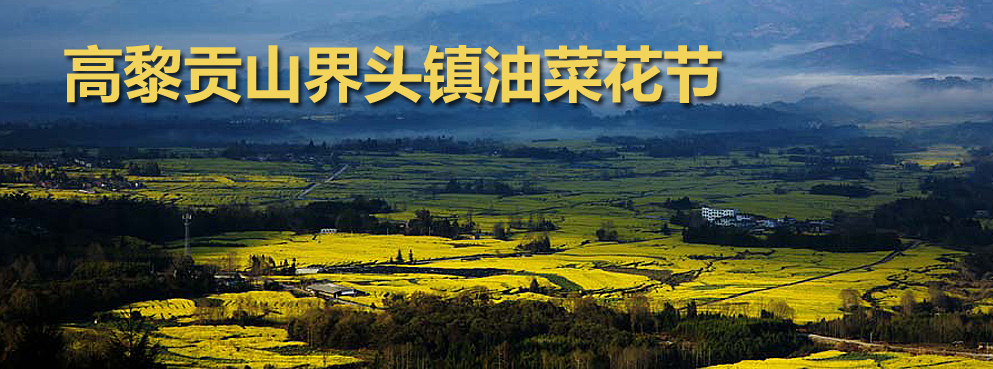 保山市-腾冲市-界头镇-高黎贡山·油菜花海