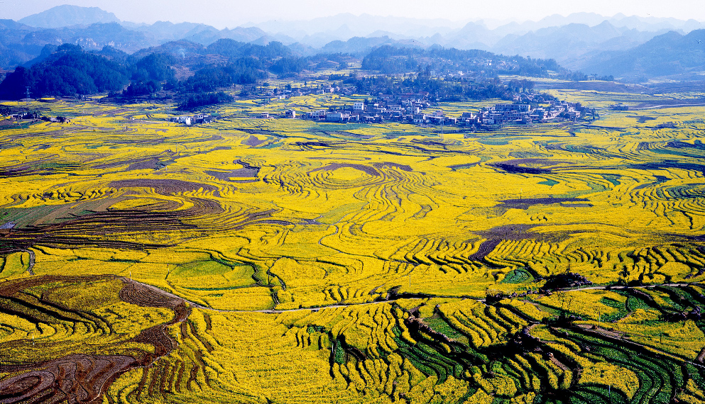 河池市-南丹县-芒场镇-巴平村梯田风景区