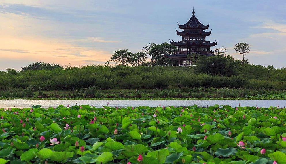 上海市-奉贤区-海湾镇-海湾国家森林公园|4a