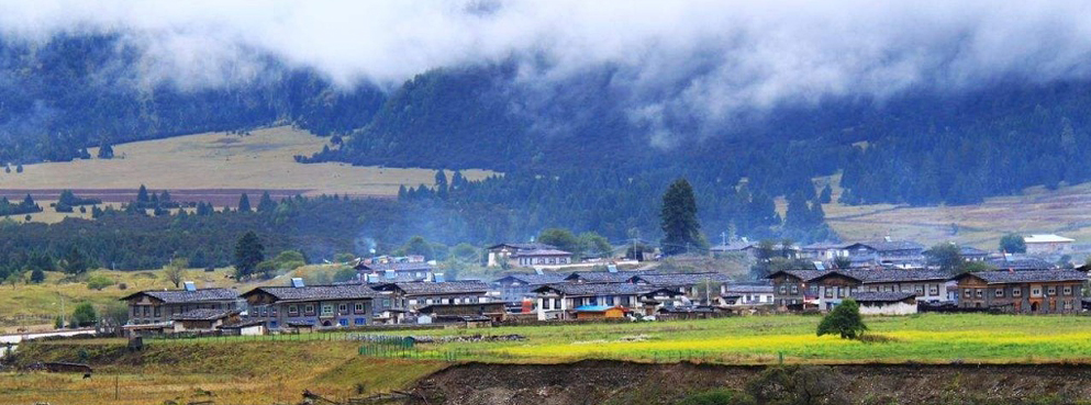 林芝市-巴宜区-鲁朗镇-扎西岗村