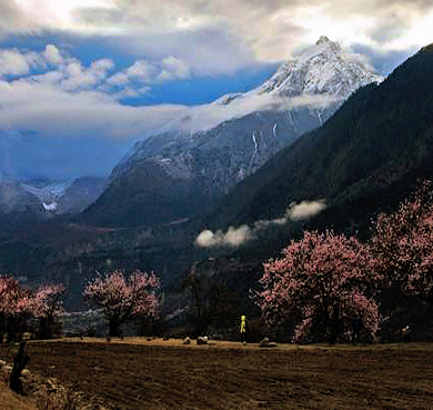 林芝市-巴宜区-加拉白垒峰|7294M