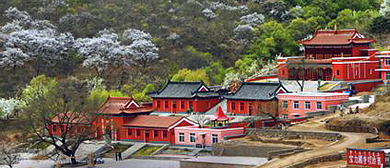 阜新市-阜蒙县-宝力根寺风景区