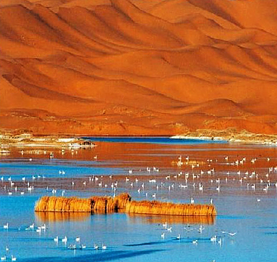 阿拉善盟-阿左旗-巴彦浩特镇-腾格里沙漠|天鹅湖风景区