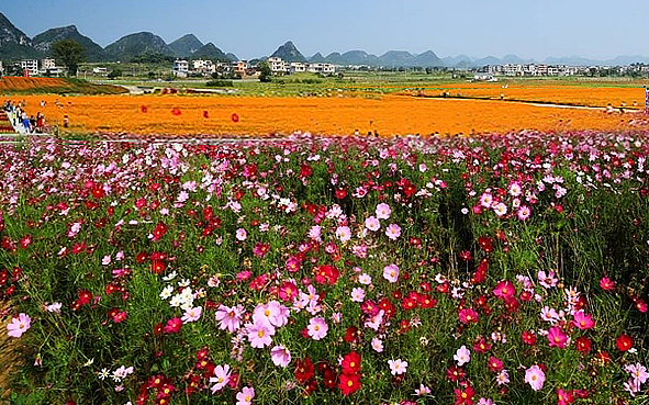 贺州市-富川县-福利镇-神仙湖四季花海风景旅游区|4A