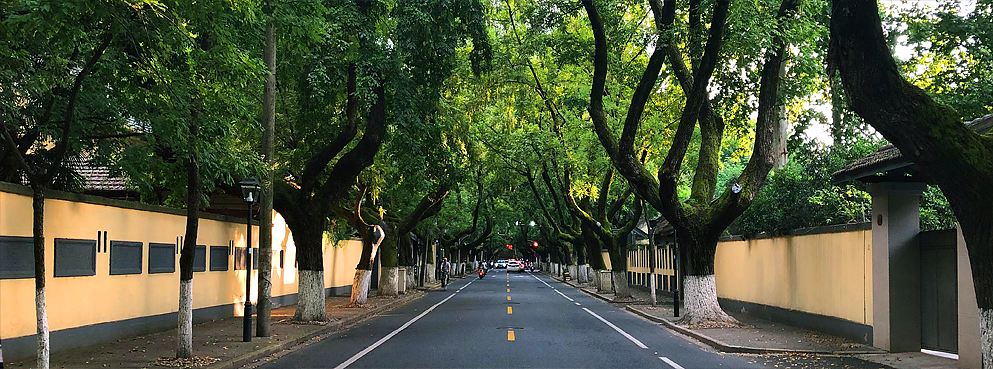 南京市-鼓楼区-颐和路（|民|民国公馆建筑群）中国历史文化街