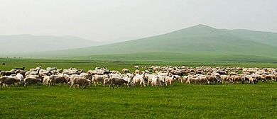 赤峰市-阿鲁旗-阿鲁科尔沁草原国家级自然保护区