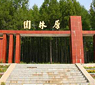 大兴安岭地区-新林区-原林园