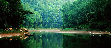 广安市-岳池县-天平镇-象鼻河风景区