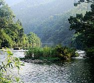 吉安市-遂川县-五斗江国家湿地公园（十送红军纪念地）风景旅游区