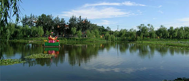 淄博市-桓台县-马踏国家湖湿地公园