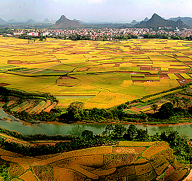 南宁市-隆安县-布泉乡-布泉河(那文化)稻田风景区