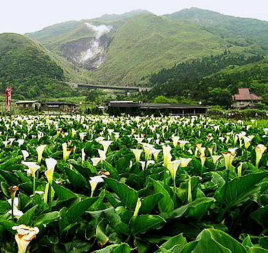 台北市-士林区-阳明山|大屯火山群|国家公园