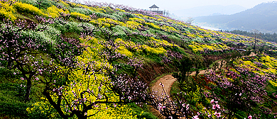 湖州市-长兴县-和平镇-城山沟（|汉|城山遗址）风景旅游区