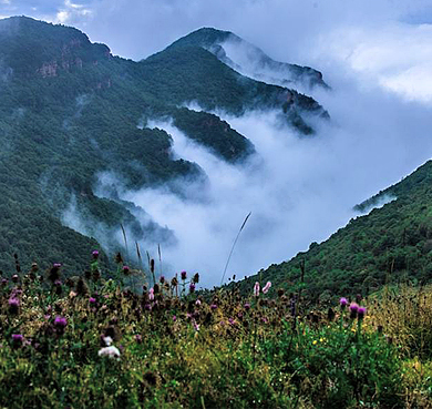 晋城市-沁水县-历山（舜王坪2358米）国家级自然保护区