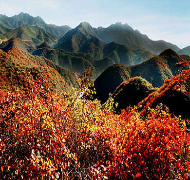 运城市-闻喜县-中条山|汤王山风景区