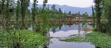 重庆市-璧山区-观音塘国家城市湿地公园|4A