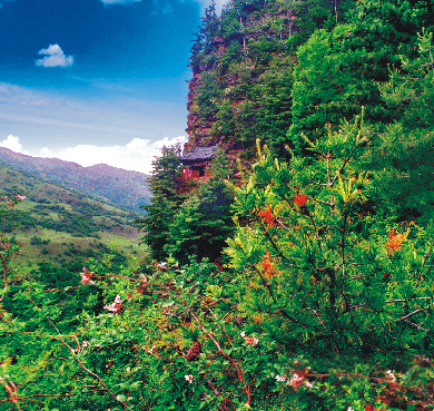 平凉市-华亭县-关山莲花台国家级风景名胜区