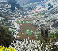 宜宾市-筠连县-腾达镇-春风村