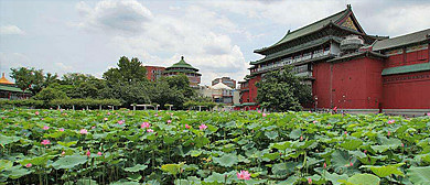台北市-中正区-台北植物园