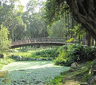 台北市-万华区-青年公园