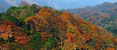 黔东南州-台江县-南宫森林公园