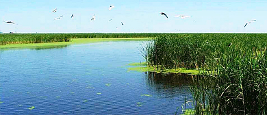 绥化市-安达市-东湖湿地自然保护区