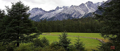 丽江市-玉龙县-玉龙雪山·云杉坪风景区 