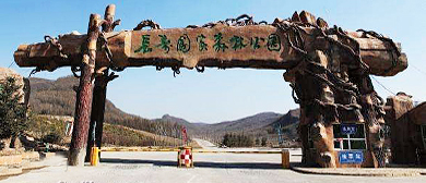 哈尔滨市-宾县-宾西镇-长寿国家森林公园