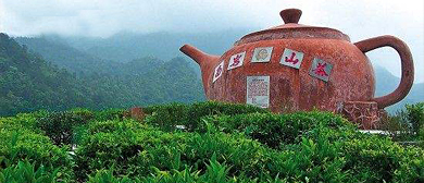 梅州市-大埔县-枫朗镇-西岩村·西岩茶乡风景旅游区
