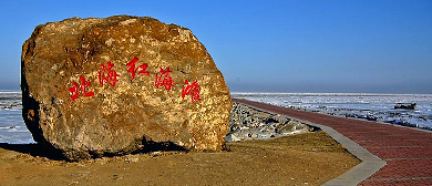 营口市-盖州市-团山街道-北海村-北海红海滩·海滨风景旅游区