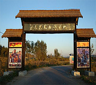 盘锦市-大洼区-西安镇-上口子村|农业旅游区