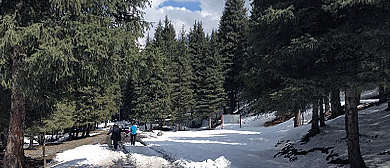 乌鲁木齐市-乌鲁木齐县-南山·白杨沟风景区