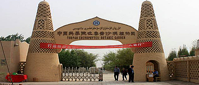 吐鲁番市-高昌区-中科院·吐鲁番沙漠植物园