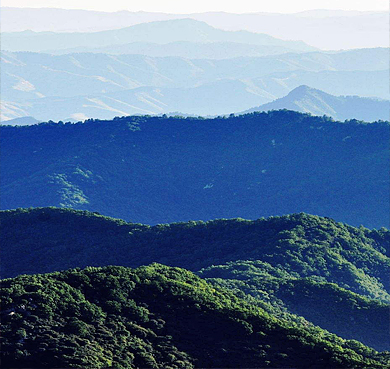 吕梁市-兴县-黑茶山国家级自然保护区