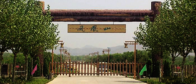 忻州市-定襄县-受禄乡-凤凰山（汤头温泉）生态植物园|4A
