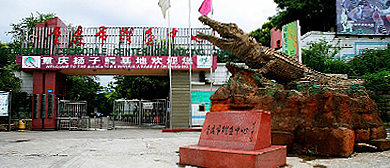 重庆市-两江新区-重庆鳄鱼中心