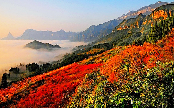 重庆市-南川区-金佛山国家级风景名胜区·金佛山（喀斯特）国家级自然保护区|5A