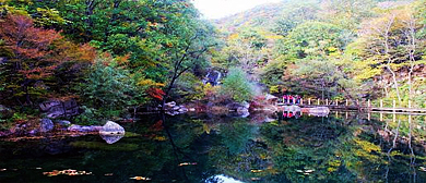 天津市-蓟州区-下营镇-梨木台风景旅游区|4A