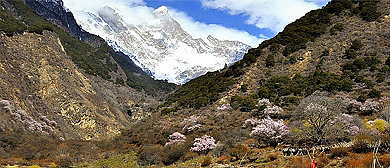 林芝市-米林市-派镇-直白村（南迦巴瓦峰观景台）桃花田园风景区