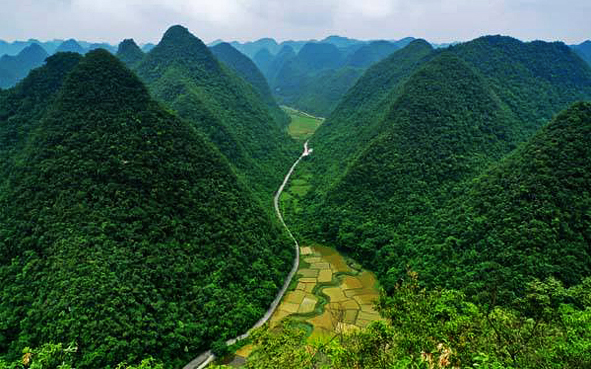 黔南州-荔波县-茂兰镇-茂兰（荔波喀斯特森林）国家级自然保护区