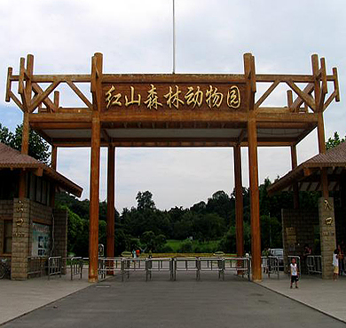 南京市-玄武区-红山森林动物园|4A