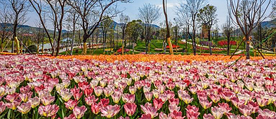 常州市-金坛区-茅山东湖水库·花谷奇缘风景旅游区|4A