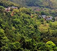 黄山市-祁门县-箬坑乡-冯家顶村