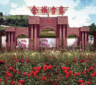 重庆市-梁平区-金城寨玫瑰园